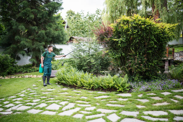 Best Pest Prevention Services  in Campbell, MO