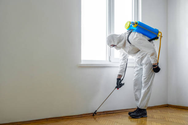 Best Rat Extermination Near Me  in Campbell, MO
