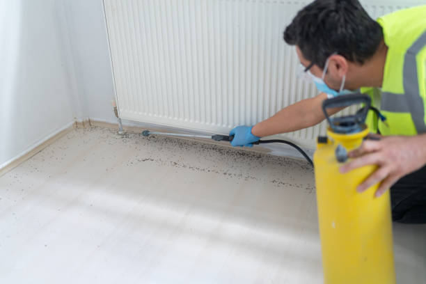 Reliable Campbell, MO Pest Control Solutions