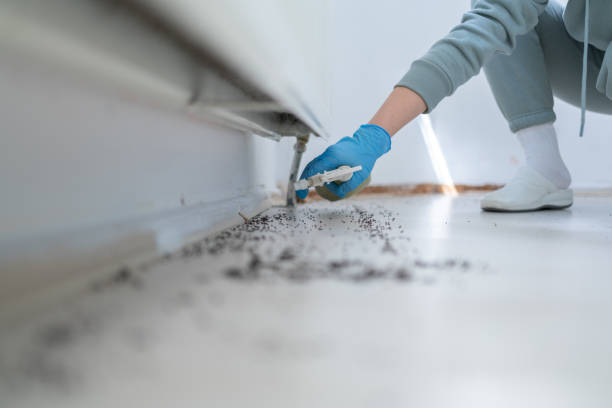 Best Best Pest Control Companies  in Campbell, MO