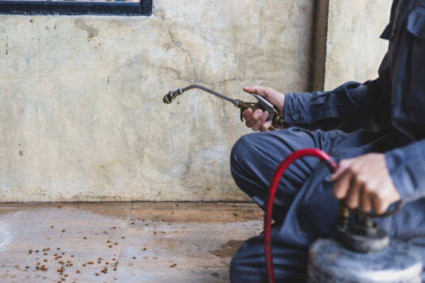 Best Best Pest Control Companies  in Campbell, MO